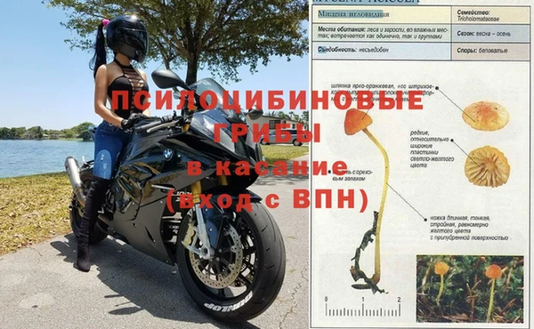 соль ск Балахна