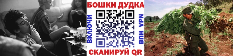 закладки  Верхоянск  Канабис сатива 